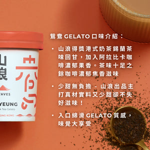 Mt Waves Yuen Yeung - Craft HK Milk Tea Gelato 100mL Cup